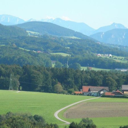 Landgasthof Franz Josef Strasswalchen Bagian luar foto