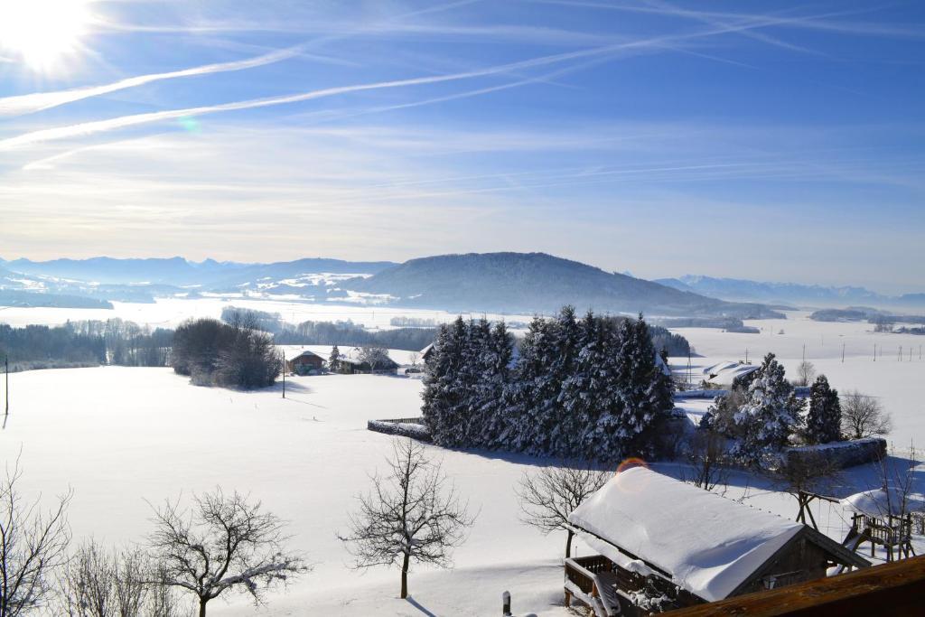 Landgasthof Franz Josef Strasswalchen Ruang foto